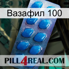 Вазафил 100 viagra1